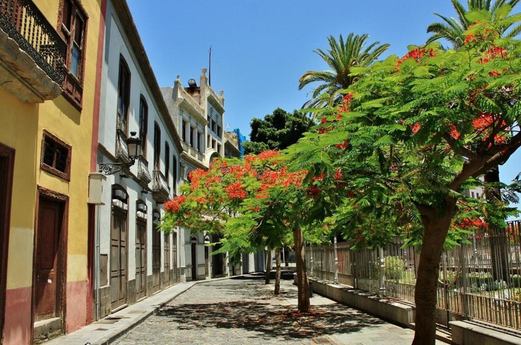 Apartamento Bien Situado - Buenas Conexiones Σάντα Κρουζ Τενερίφης Εξωτερικό φωτογραφία