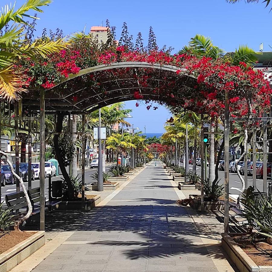 Apartamento Bien Situado - Buenas Conexiones Σάντα Κρουζ Τενερίφης Εξωτερικό φωτογραφία